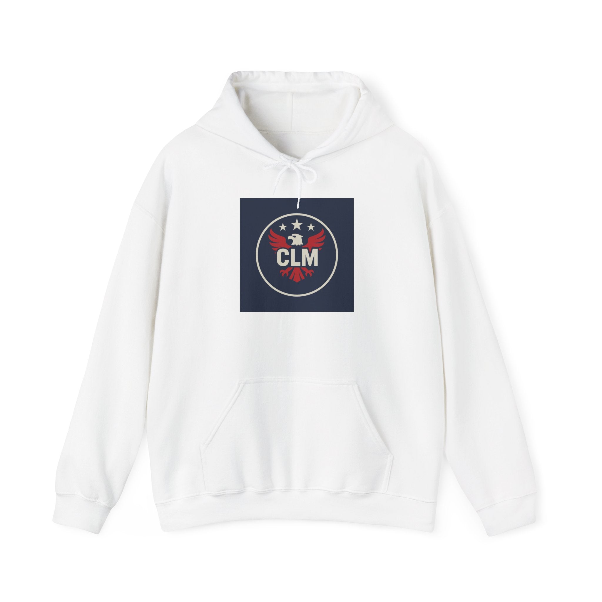 Red, White, and Blue Eagle Sweatshirt - Patriotic Hooded Sweatshirt for Men and Women, Ideal for Independence Day, Family Gatherings, [...]