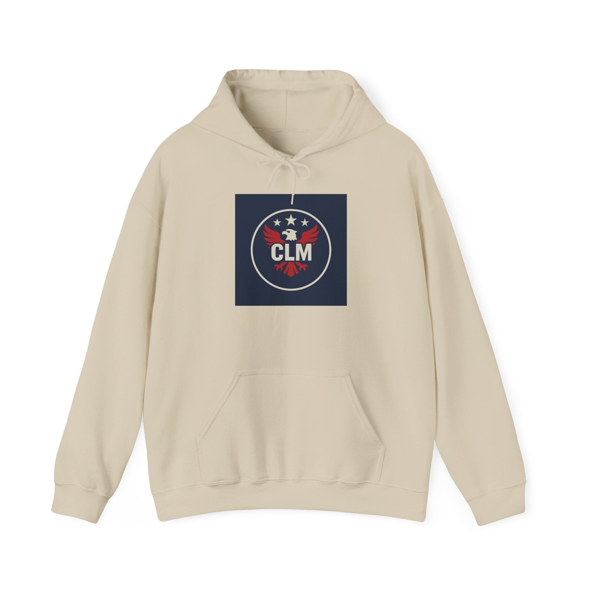 Red, White, and Blue Eagle Sweatshirt - Patriotic Hooded Sweatshirt for Men and Women, Ideal for Independence Day, Family Gatherings, [...]